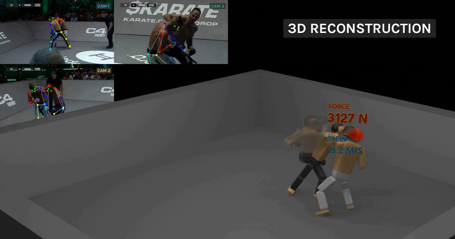 Biomechanical Reconstruction